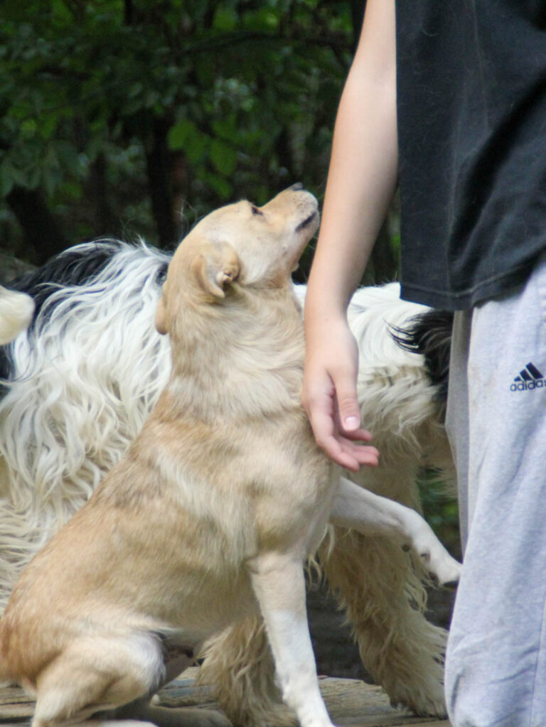 20250806-fotos-inessa-17