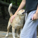 20250806-fotos-inessa-18