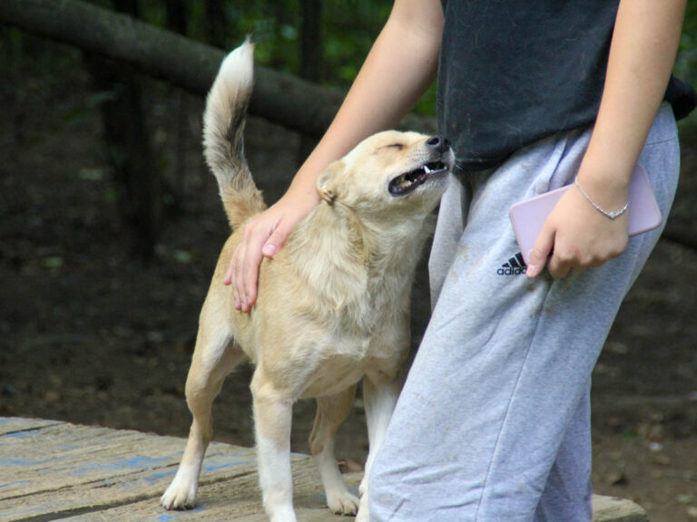 20250806-fotos-inessa-18