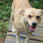 20250806-fotos-inessa-20