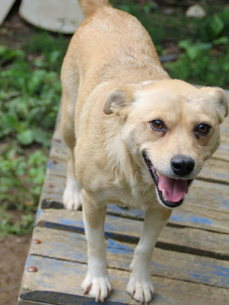 20250806-fotos-inessa-20