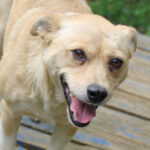 20250806-fotos-inessa-24