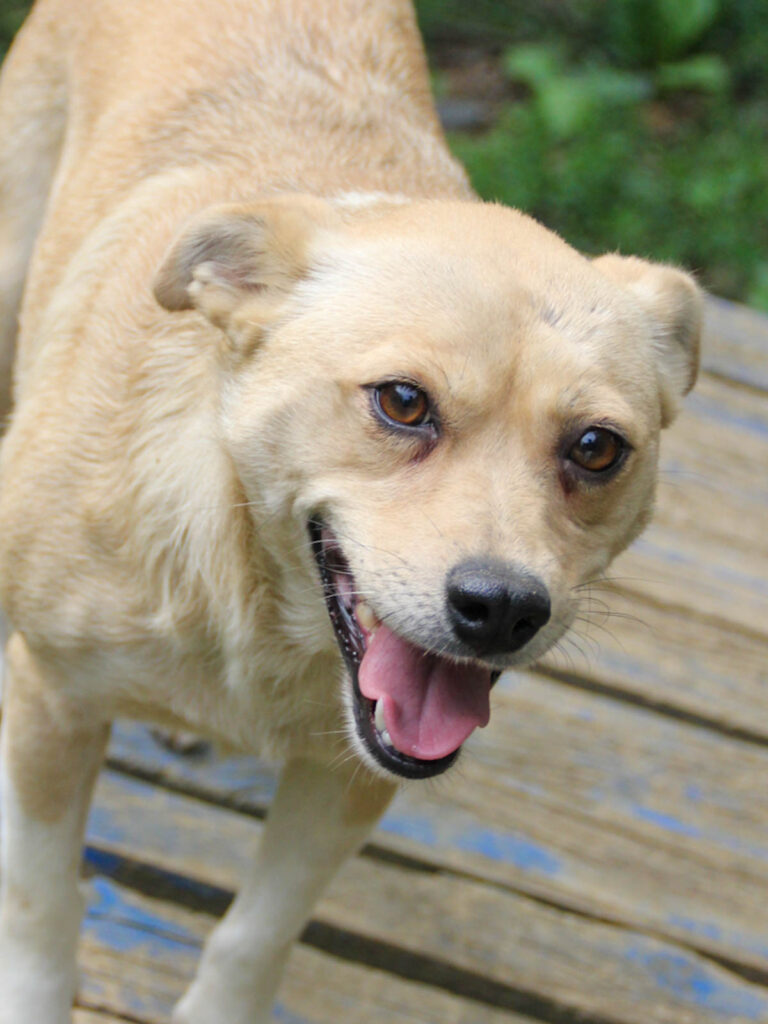 20250806-fotos-inessa-24