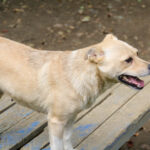 20250806-fotos-inessa-25