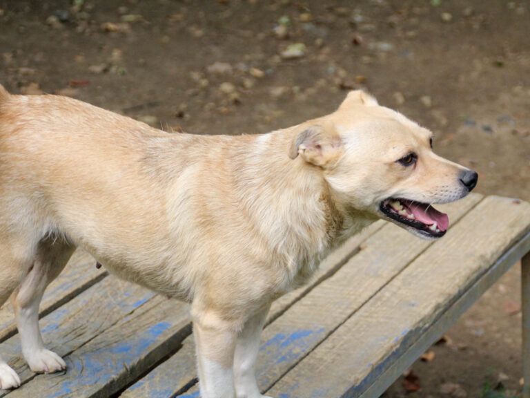 20250806-fotos-inessa-25