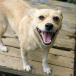 20250806-fotos-inessa-26