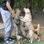 20250806-fotos-inessa-27