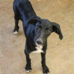 20250806-fotos-irma-1