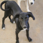 20250806-fotos-irma-2