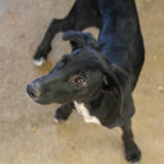 20250806-fotos-irma-4