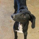 20250806-fotos-irma-6