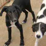 20250806-fotos-irma-7