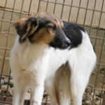 20250806-fotos-juliana-1