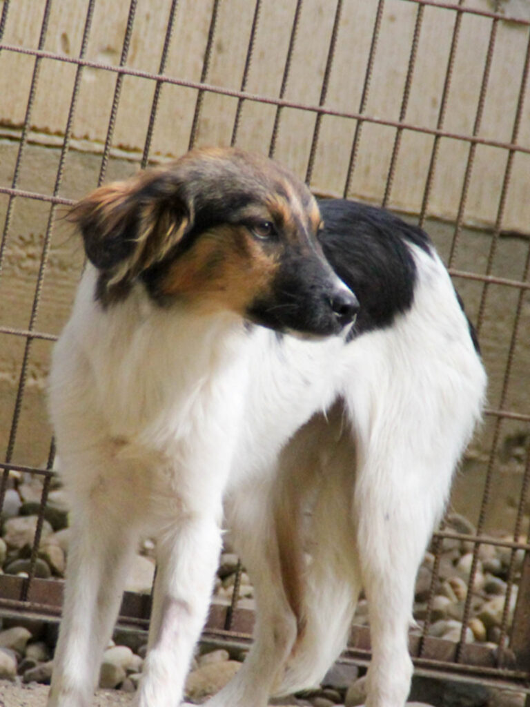 20250806-fotos-juliana-1