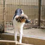 20250806-fotos-juliana-2