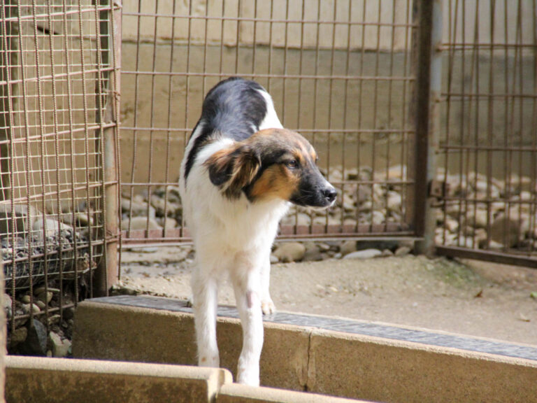 20250806-fotos-juliana-2