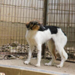 20250806-fotos-juliana-3