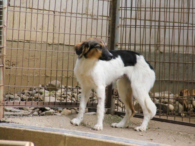 20250806-fotos-juliana-3