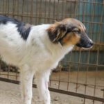 20250806-fotos-juliana-4