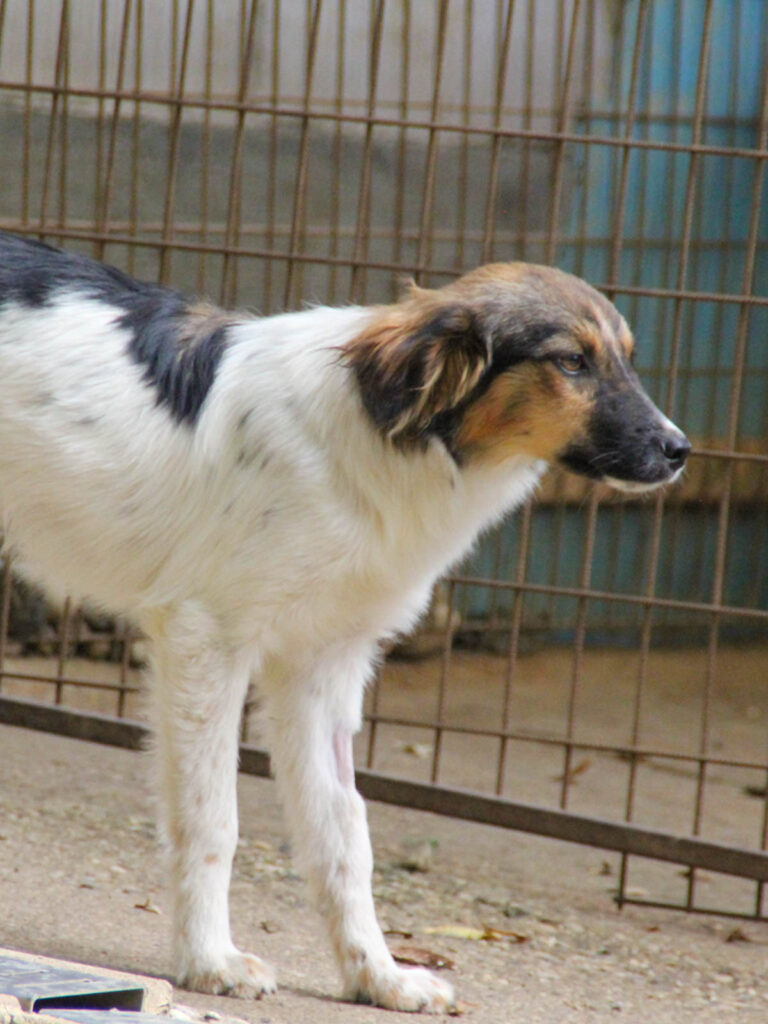 20250806-fotos-juliana-4