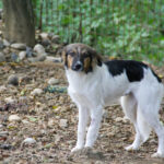 20250806-fotos-juliana-5