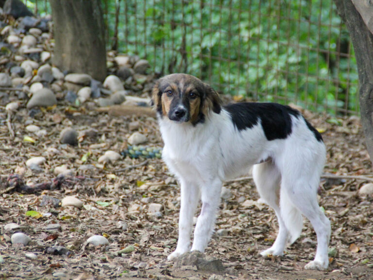 20250806-fotos-juliana-5