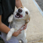 20250806-fotos-lima-3