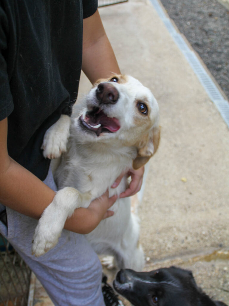 20250806-fotos-lima-3