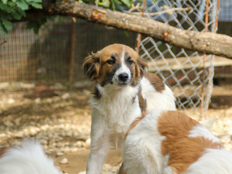 20250806-fotos-wilhelm-01