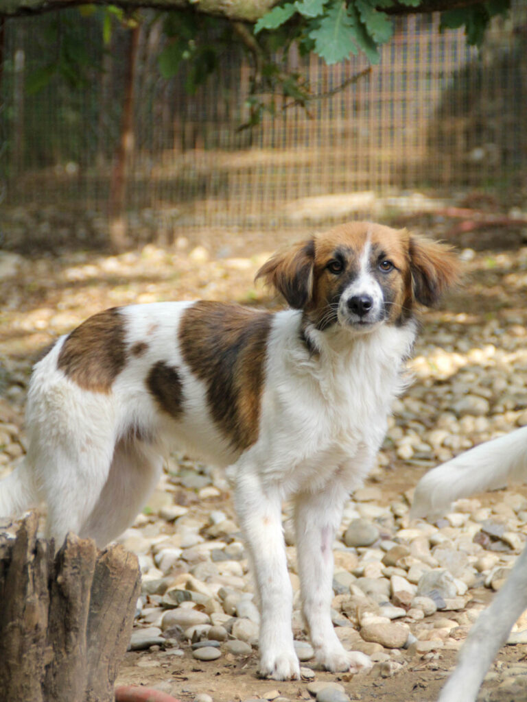 20250806-fotos-wilhelm-02