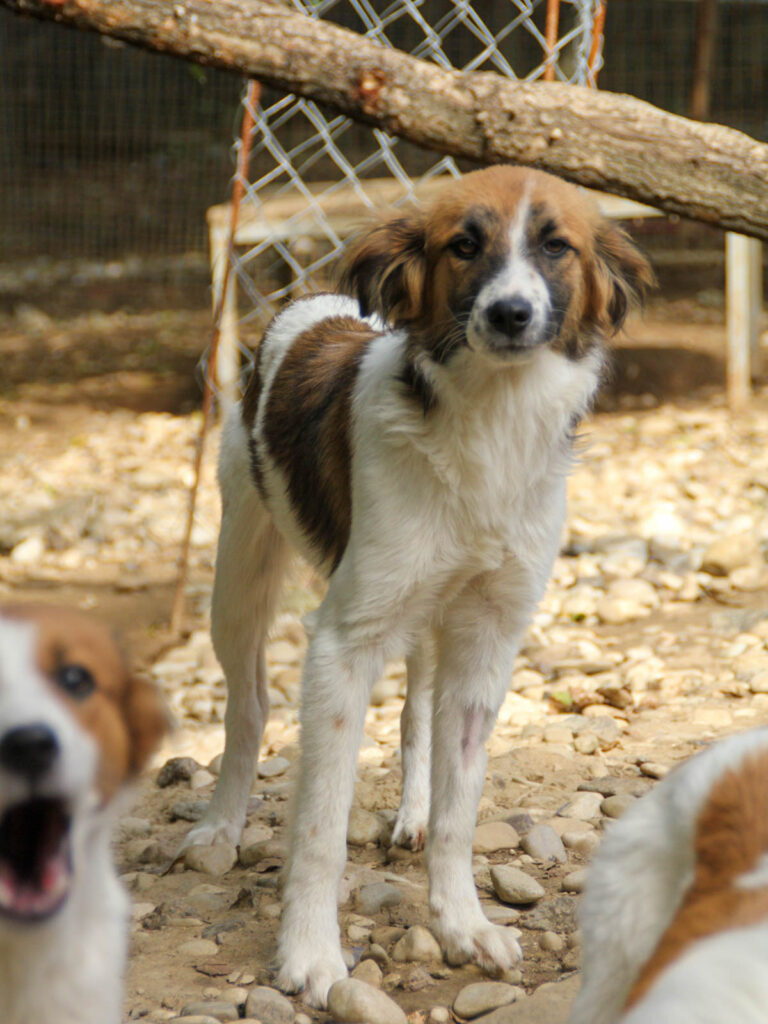 20250806-fotos-wilhelm-03