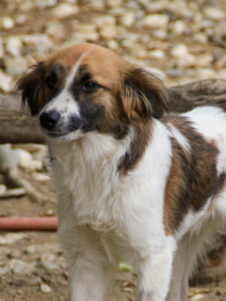 20250806-fotos-wilhelm-05