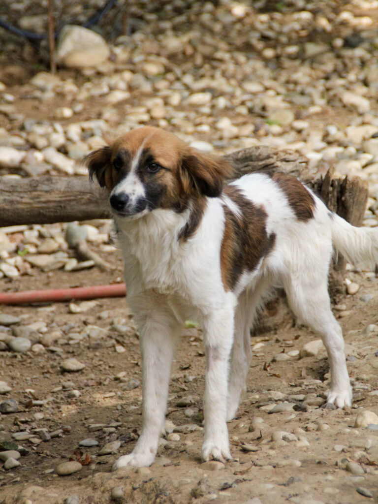 20250806-fotos-wilhelm-09