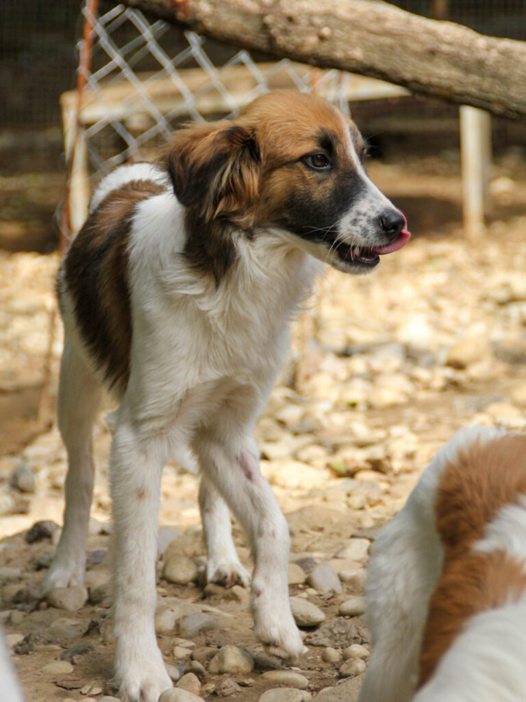 20250806-fotos-wilhelm-10