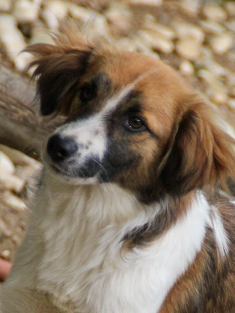 20250806-fotos-wilhelm-11