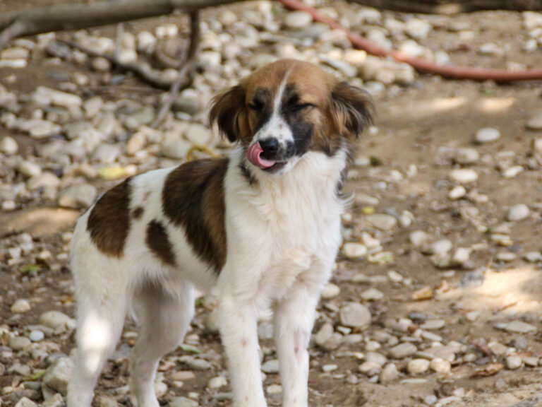 20250806-fotos-wilhelm-12