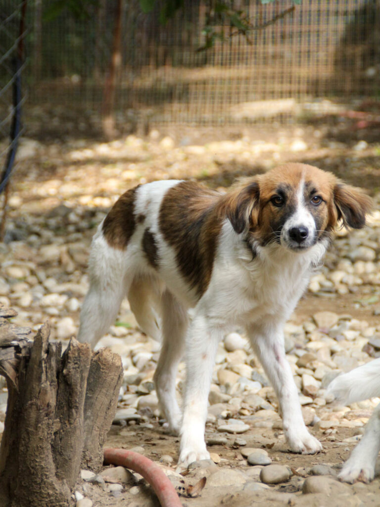 20250806-fotos-wilhelm-13