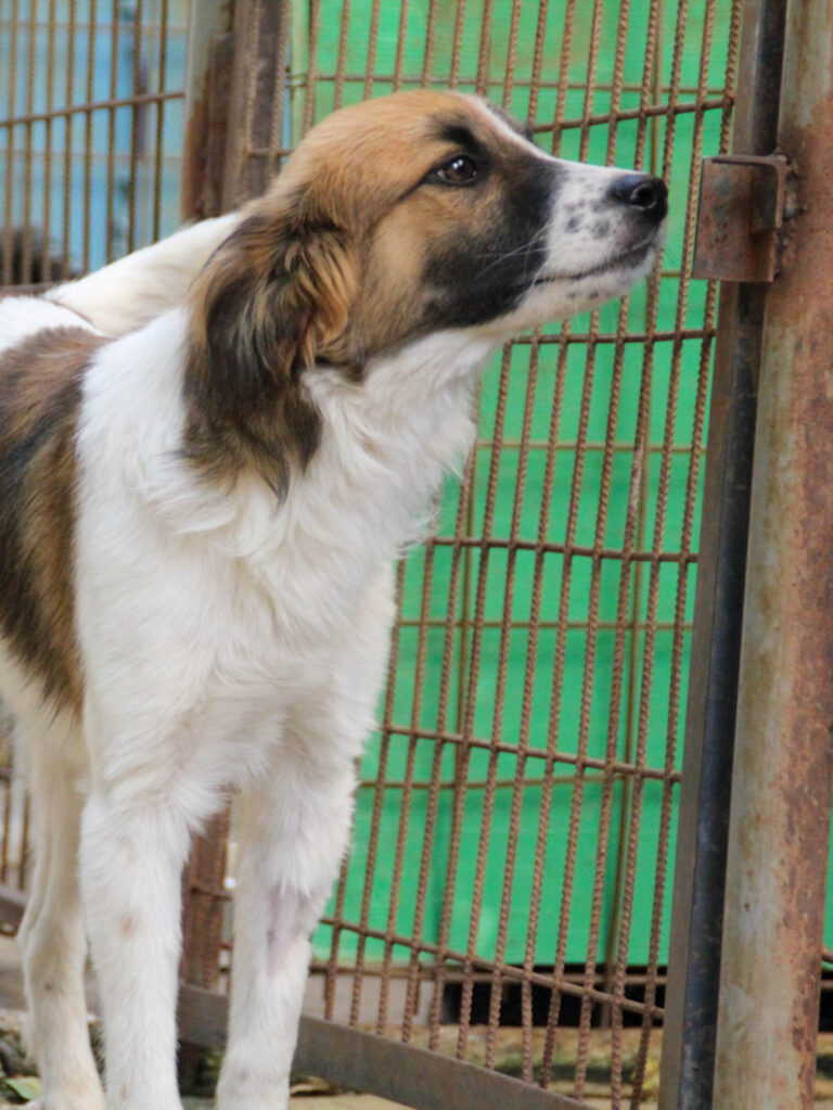 20250806-fotos-wilhelm-14