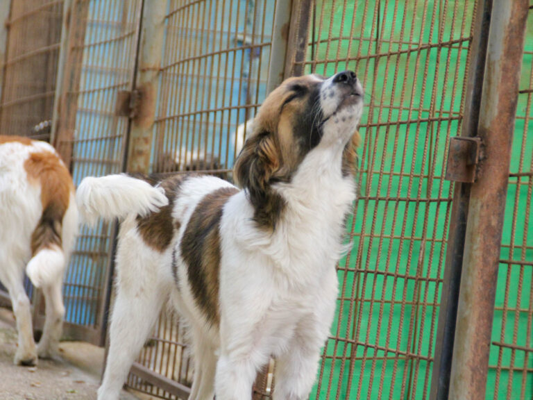 20250806-fotos-wilhelm-15