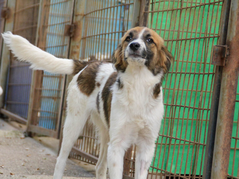 20250806-fotos-wilhelm-16