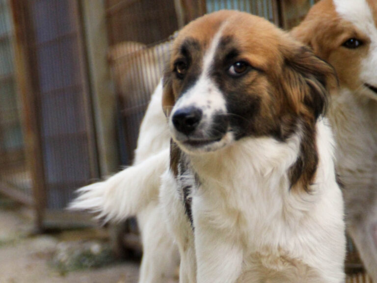 20250806-fotos-wilhelm-17