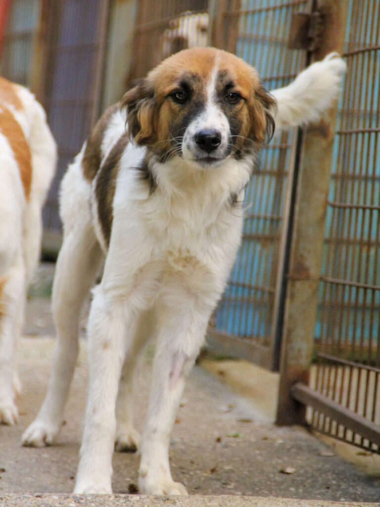 20250806-fotos-wilhelm-20