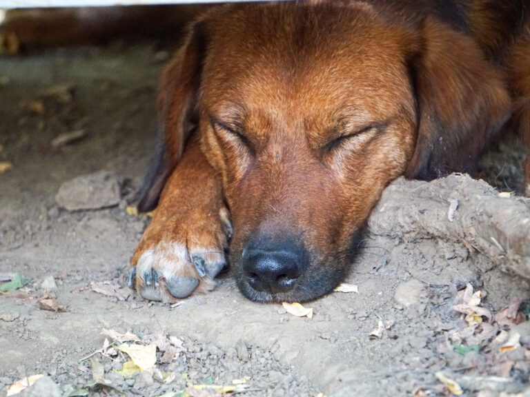 20250815-fotos-Dario-3