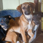 20250815-fotos-alma-06