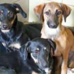 20250815-fotos-alma-07