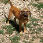 20250815-fotos-alma-09