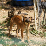 20250815-fotos-alma-10