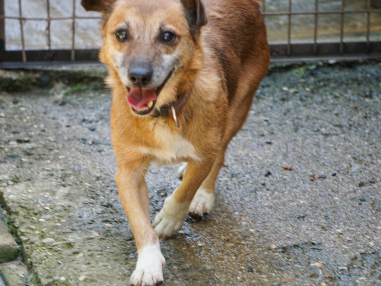 20250815-fotos-amon-01 (1)