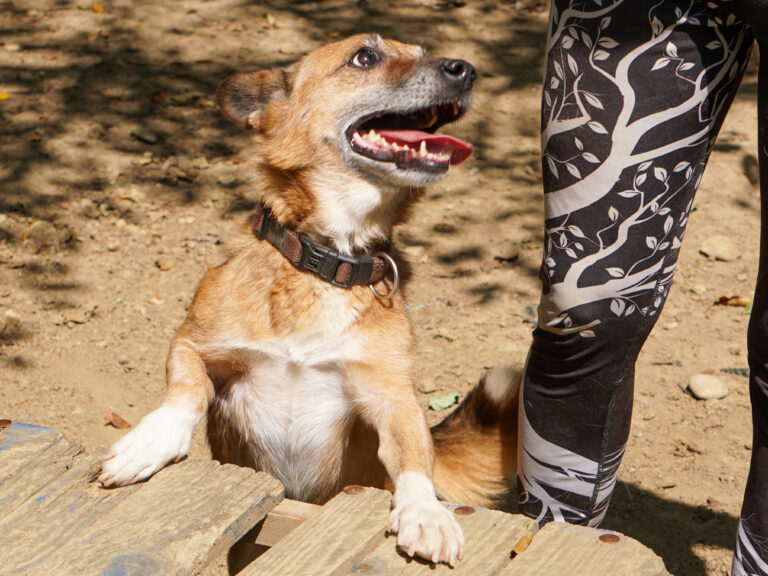 20250815-fotos-amon-03