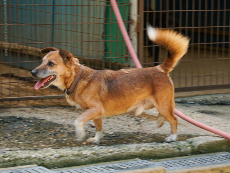 20250815-fotos-amon-07